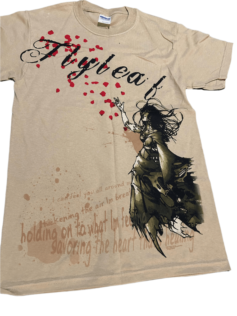 Flyleaf Holding On T-Shirt